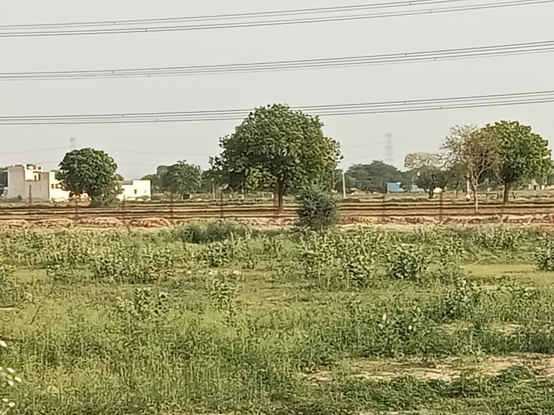 Farrukhnagar, Gurgaon