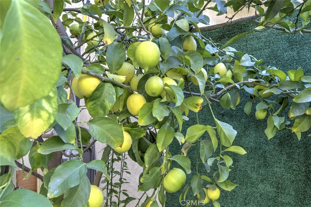 Additional image 72 of 12325 Sweetbriar, Pacoima, CA 91331