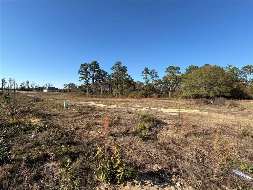 Additional image 2 of 7 Lots Lee Rd 219, Phenix City, AL 36870
