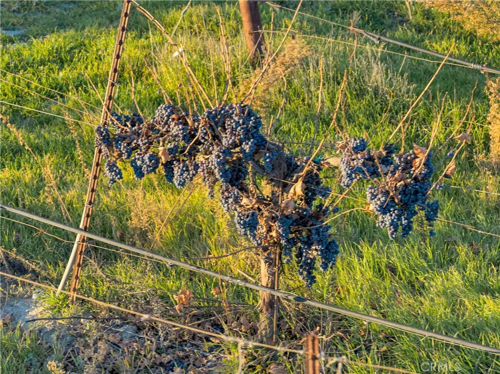 Additional image 54 of 1990 E 46, Shandon, CA 93461