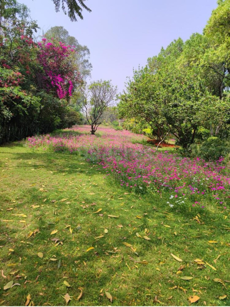 Additional image 3 of Sushant Lok Phase I, Gurgaon