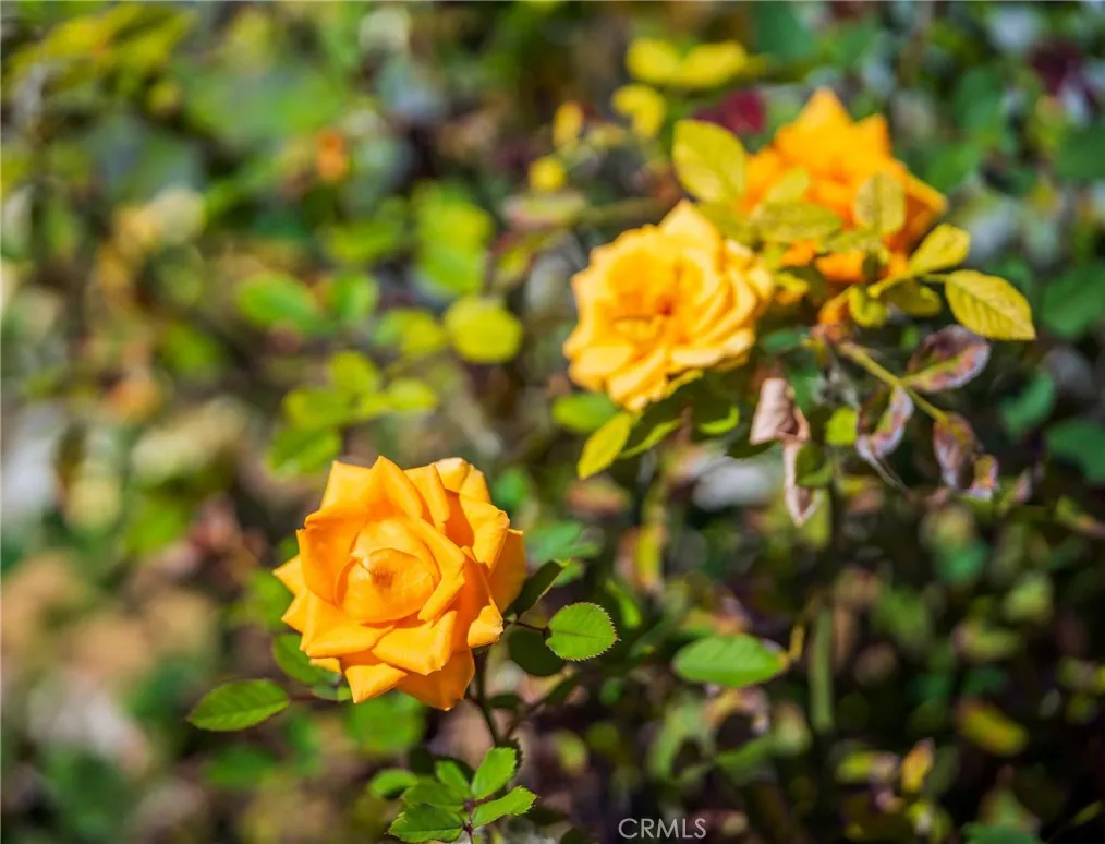 Additional image 64 of 949 Fernrest Drive, Harbor City, CA 90710