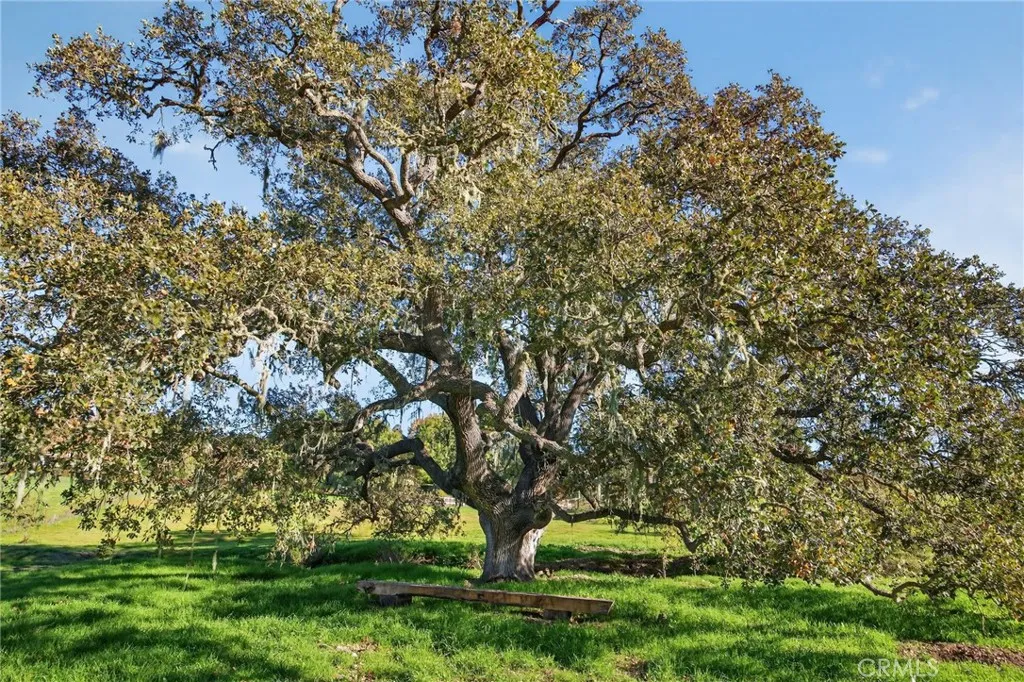 Additional image 32 of 970 college canyon Road, Solvang, CA 93463