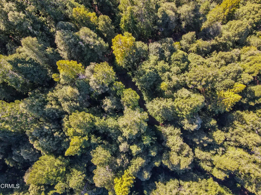 11091 Irmulco Road, Willits, CA 95490