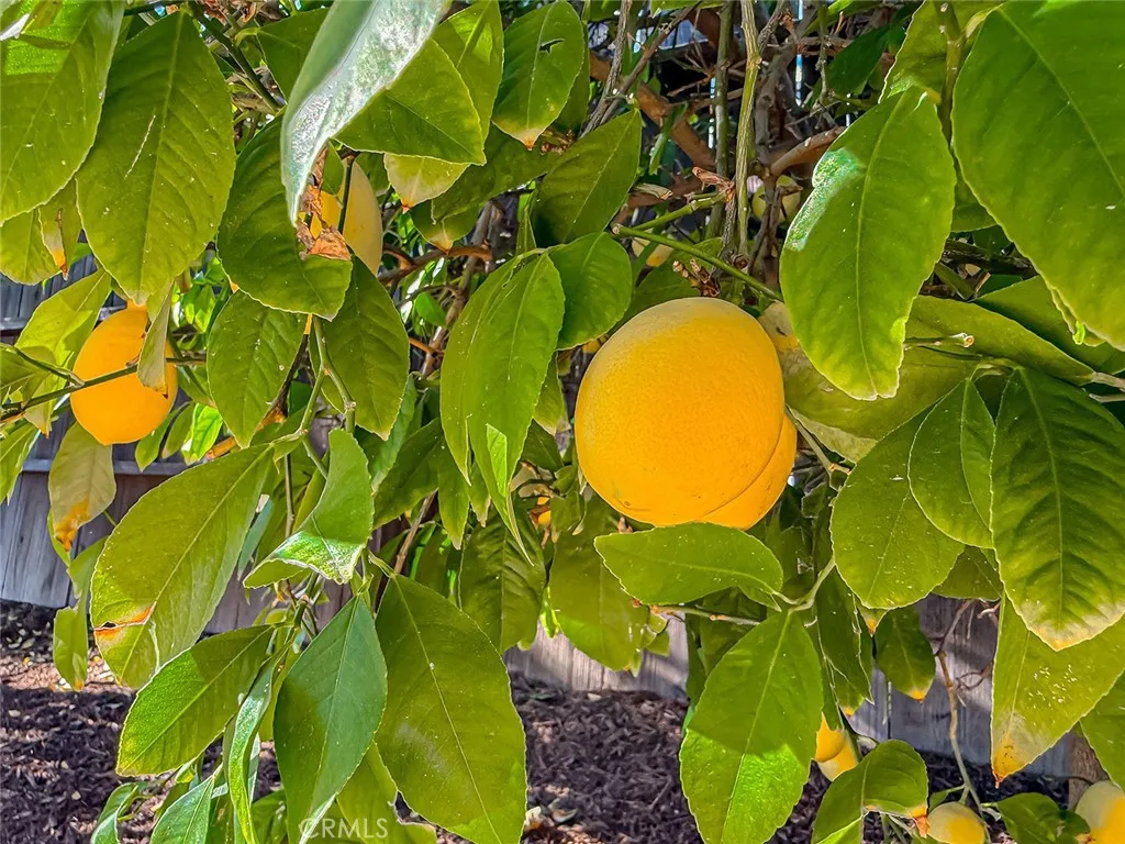 Additional image 141 of 4627 Willens, Woodland Hills, CA 91364