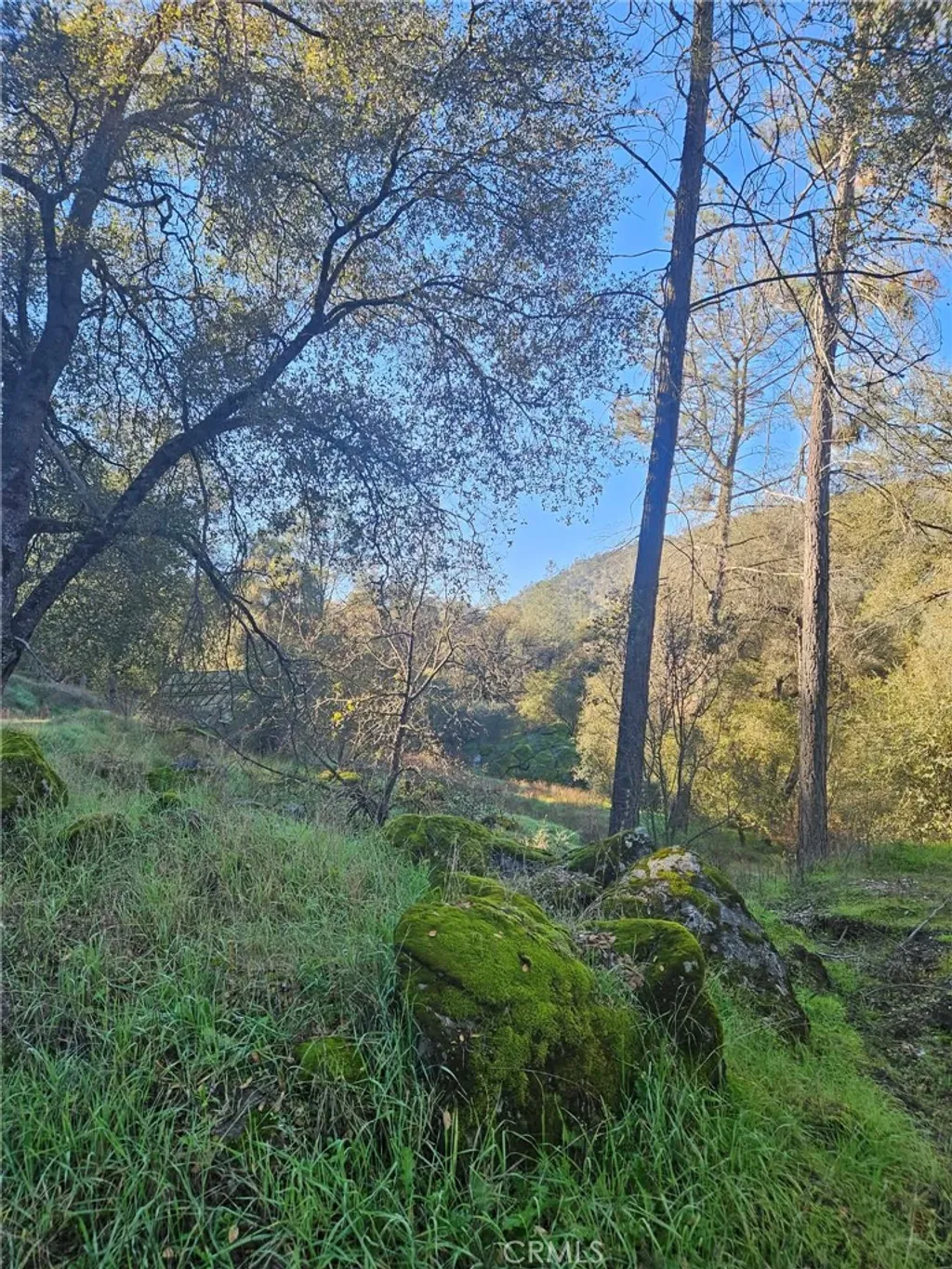 Additional image 25 of 50814 Road 200, O'Neals, CA 93645