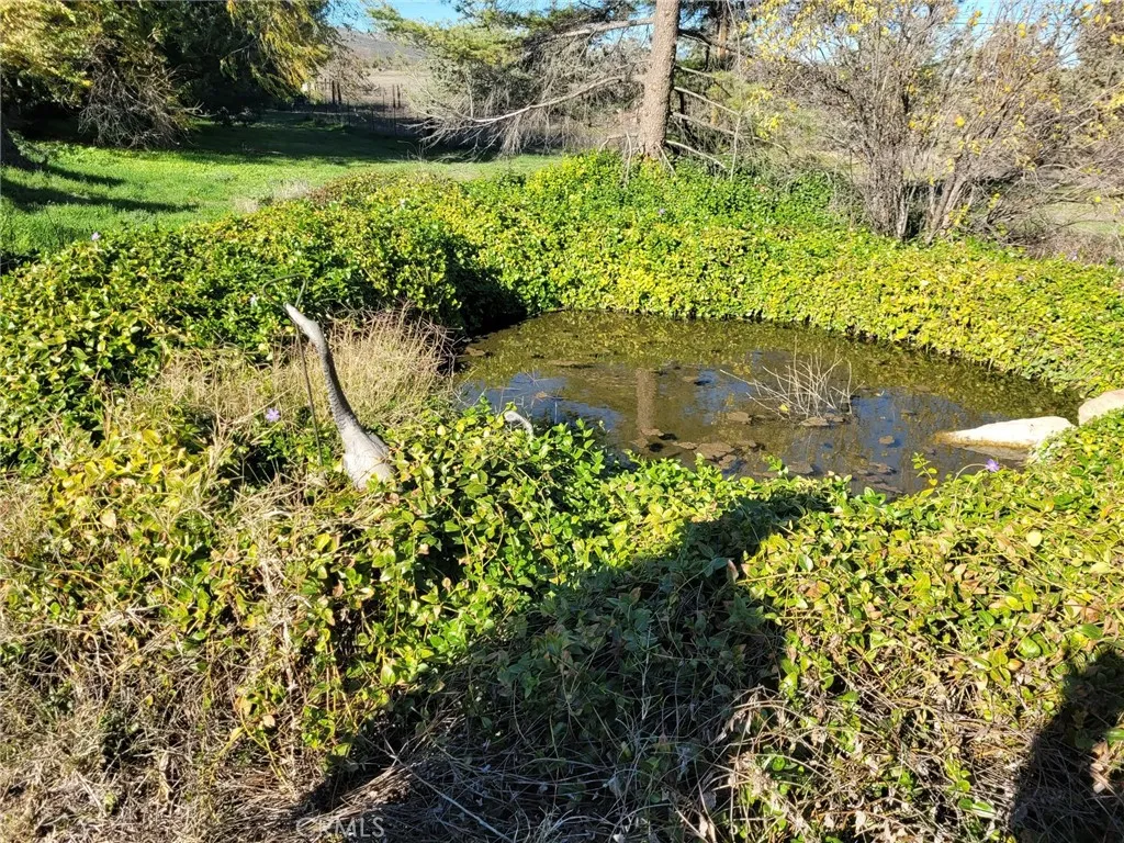 Additional image 37 of 59300 Norman Hills Road, Anza, CA 92539