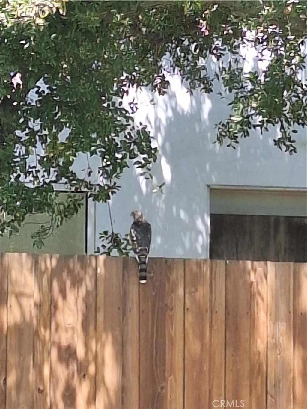 Additional image 38 of 11944 Briarvale Lane, Studio City, CA 91604