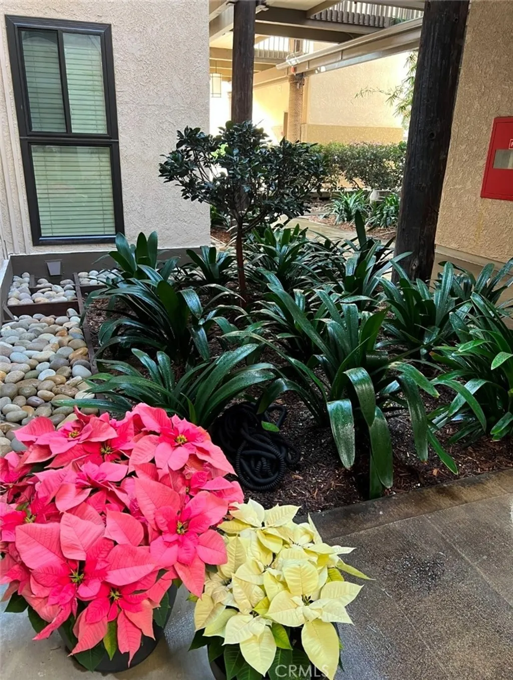 Additional image 3 of 6112 Marina Pacifica N, Long Beach, CA 90803