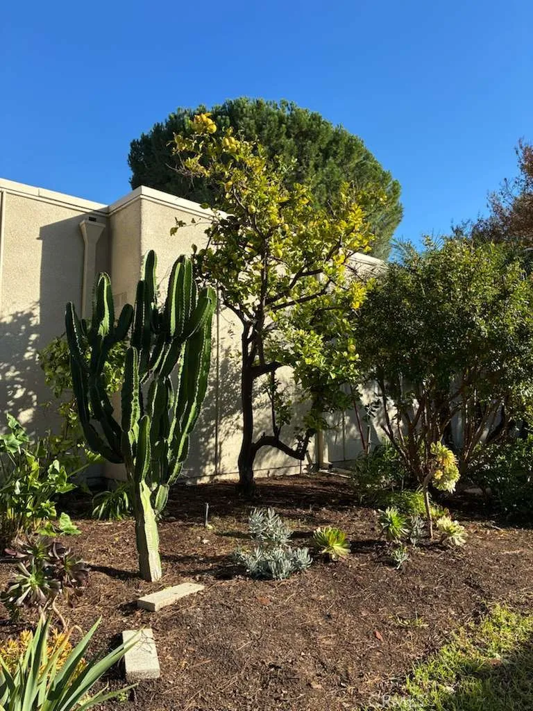 Additional image 45 of 2091 Ronda Granada Unit D, Laguna Woods, CA 92637