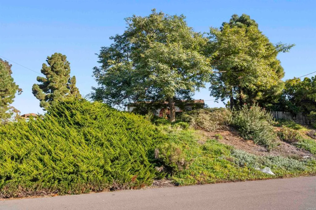 Additional image 119 of 3870 Avenida San Miguel, Bonita, CA 91902