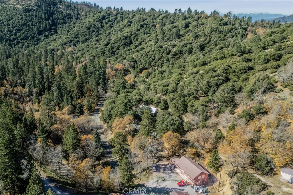 37644 Highway 38, Angelus Oaks, CA 92305