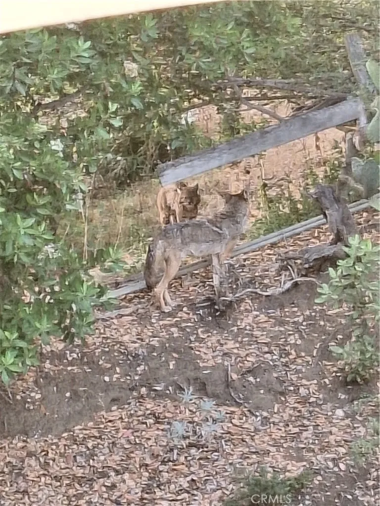 Additional image 77 of 11944 Briarvale Lane, Studio City, CA 91604