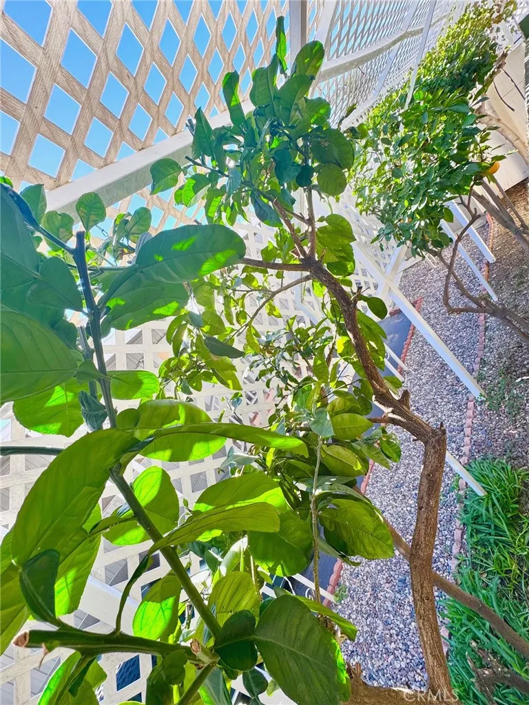 Additional image 79 of 1630 W Covina Boulevard Unit 39, San Dimas, CA 91773