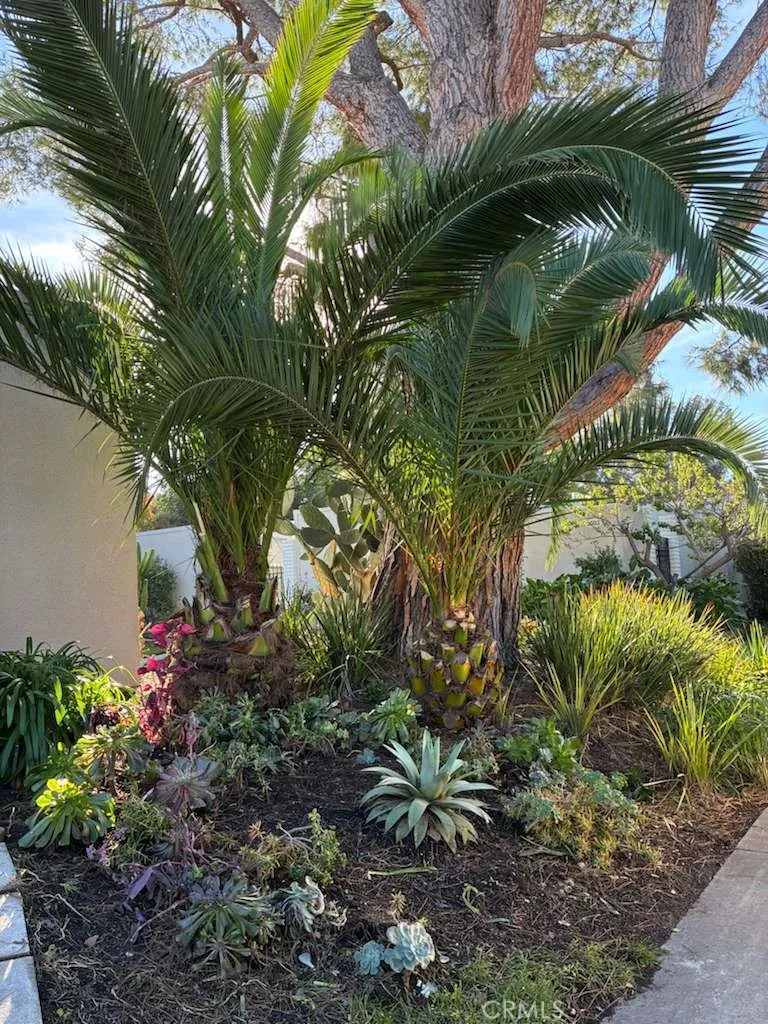 Additional image 48 of 2091 Ronda Granada Unit D, Laguna Woods, CA 92637