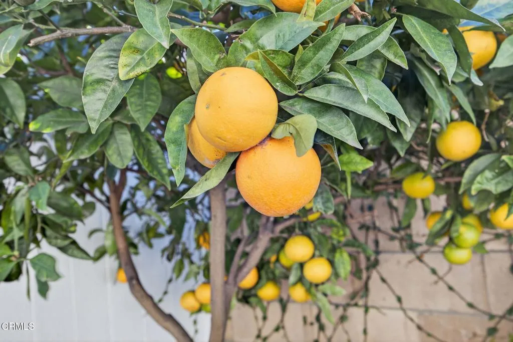 Additional image 69 of 1327 Johnson Drive, Ventura, CA 93003