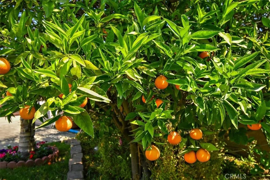 Additional image 148 of 2335 N San Antonio Avenue, Upland, CA 91784