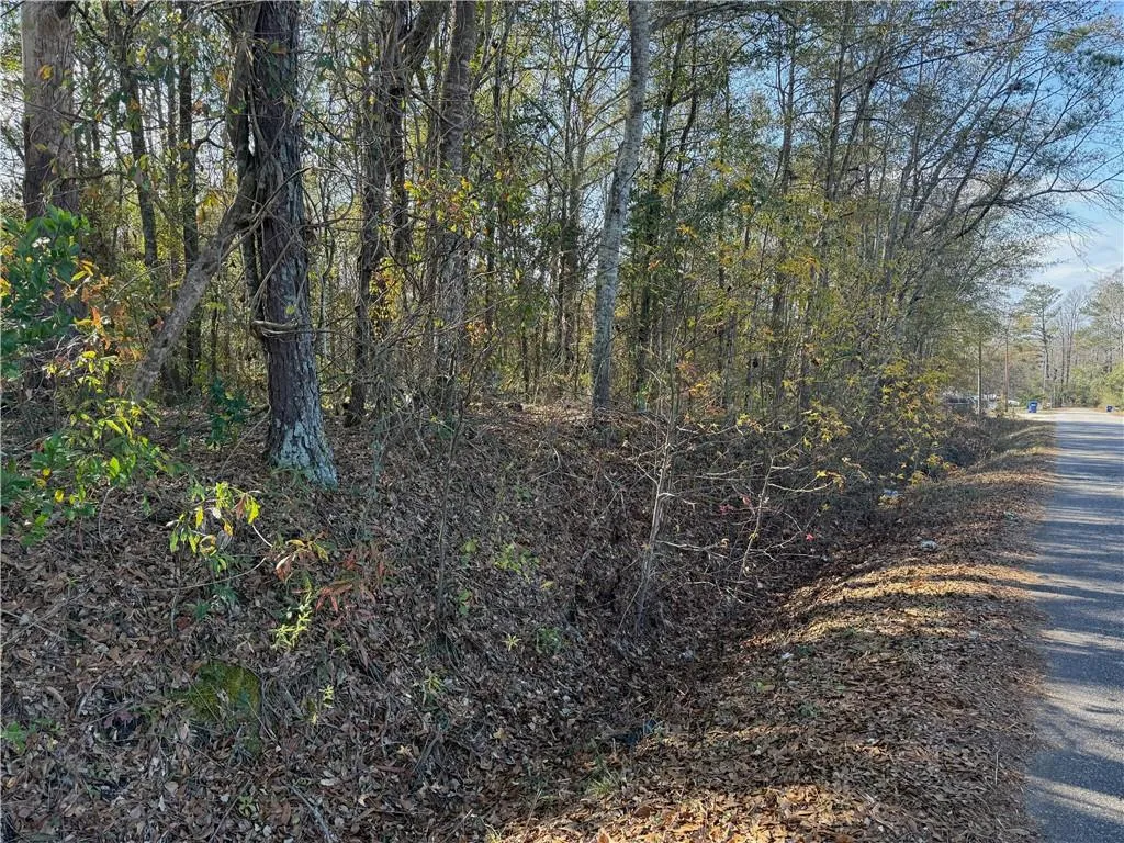 Additional image 4 of Lee Road 210, Smiths Station, AL 36870