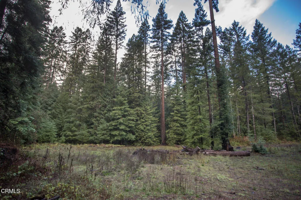 Additional image 57 of 11091 Irmulco Road, Willits, CA 95490