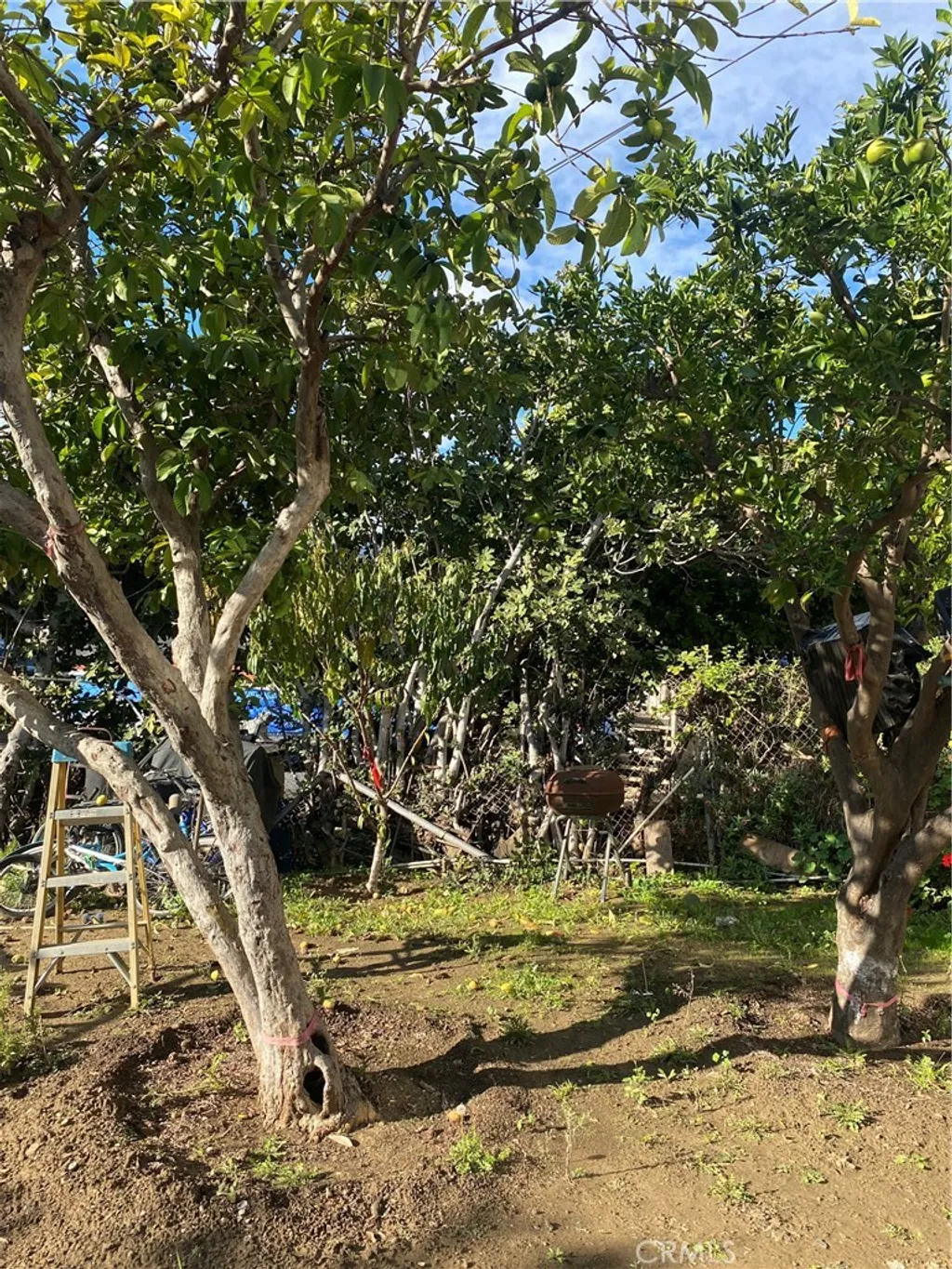 Additional image 25 of 1129 N Alma Avenue, Los Angeles, CA 90063