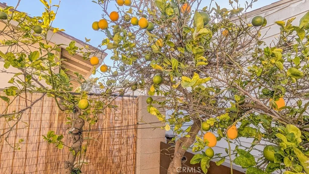 Additional image 46 of 10770 Katella Ave Unit 36, Anaheim, CA 92804