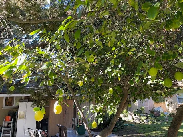 Additional image 75 of 13430 Oxnard St, Valley Glen, CA 91401