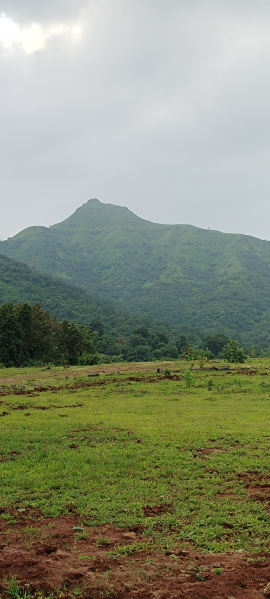 Additional image 2 of Velhe, Pune