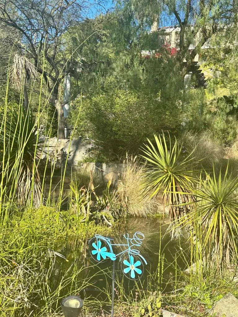 Additional image 40 of 2758 Kauana Loa Dr, Escondido, CA 92029