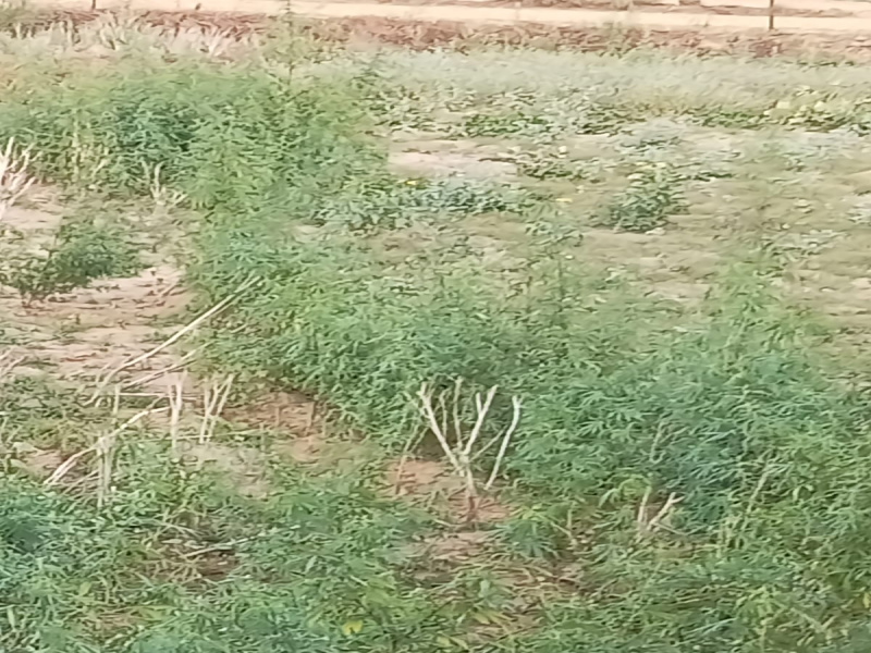 Additional image 2 of Kharkhoda, Sonipat