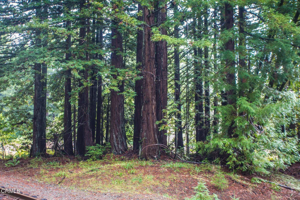 Additional image 81 of 11091 Irmulco Road, Willits, CA 95490