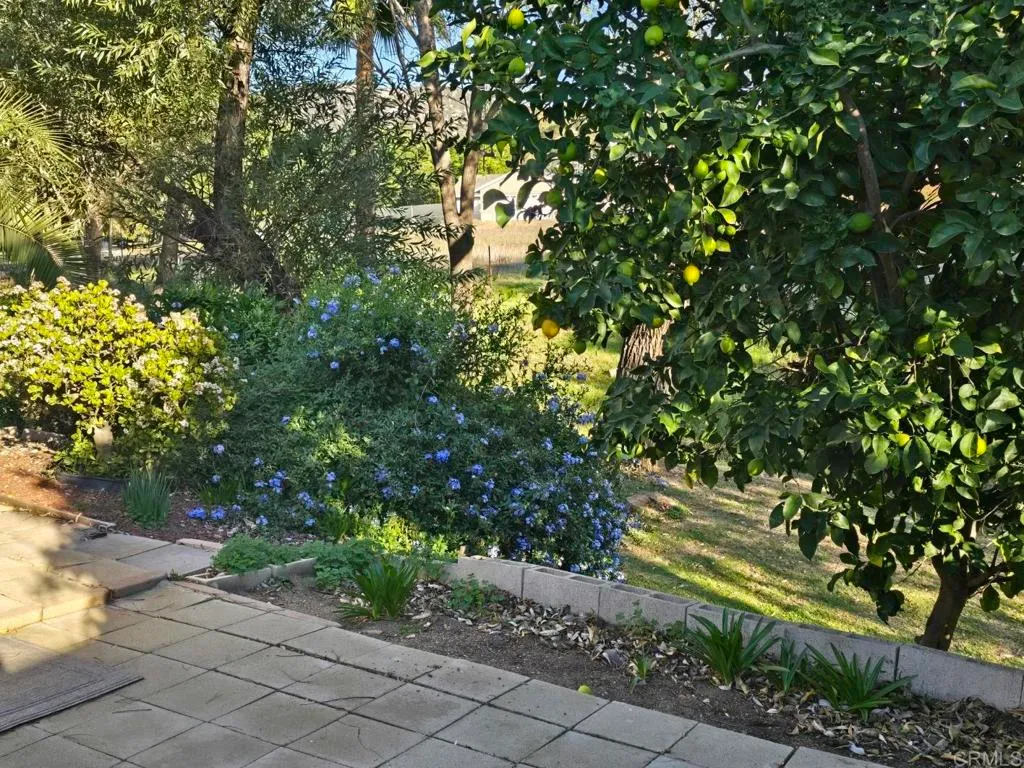 Additional image 42 of 2030 Black Canyon Road Unit 26, Ramona, CA 92065