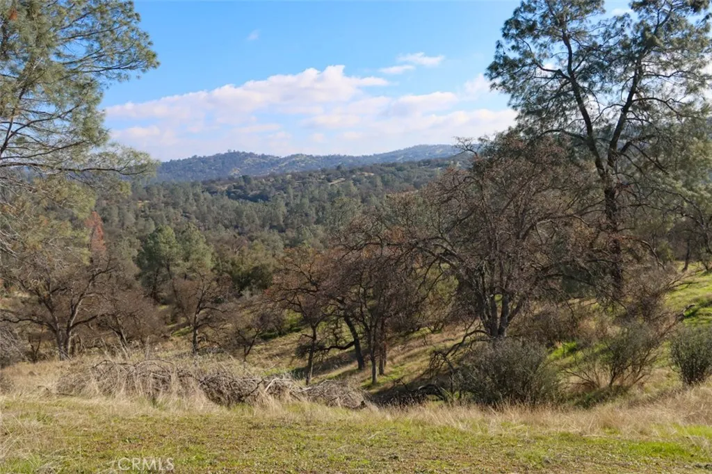 Additional image 83 of 40461 Long Hollow Drive, Coarsegold, CA 93614