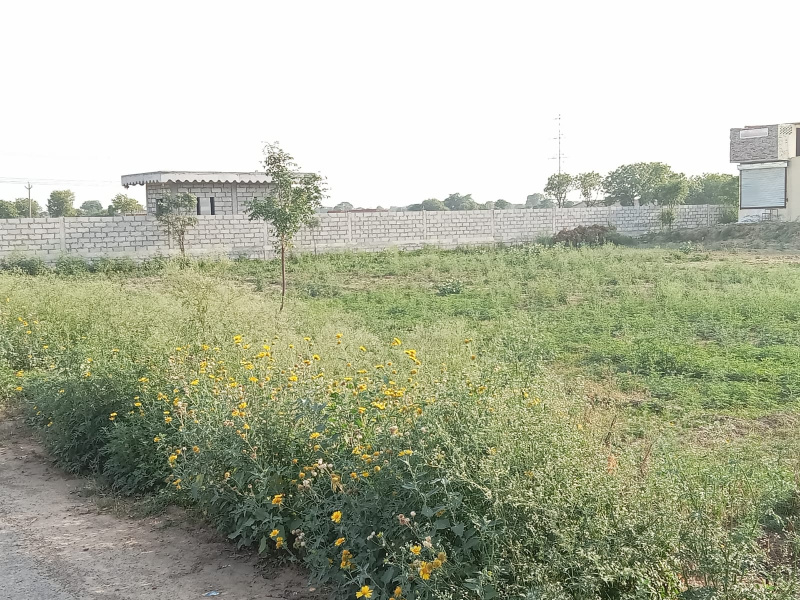 Additional image 3 of Kharkhoda, Sonipat
