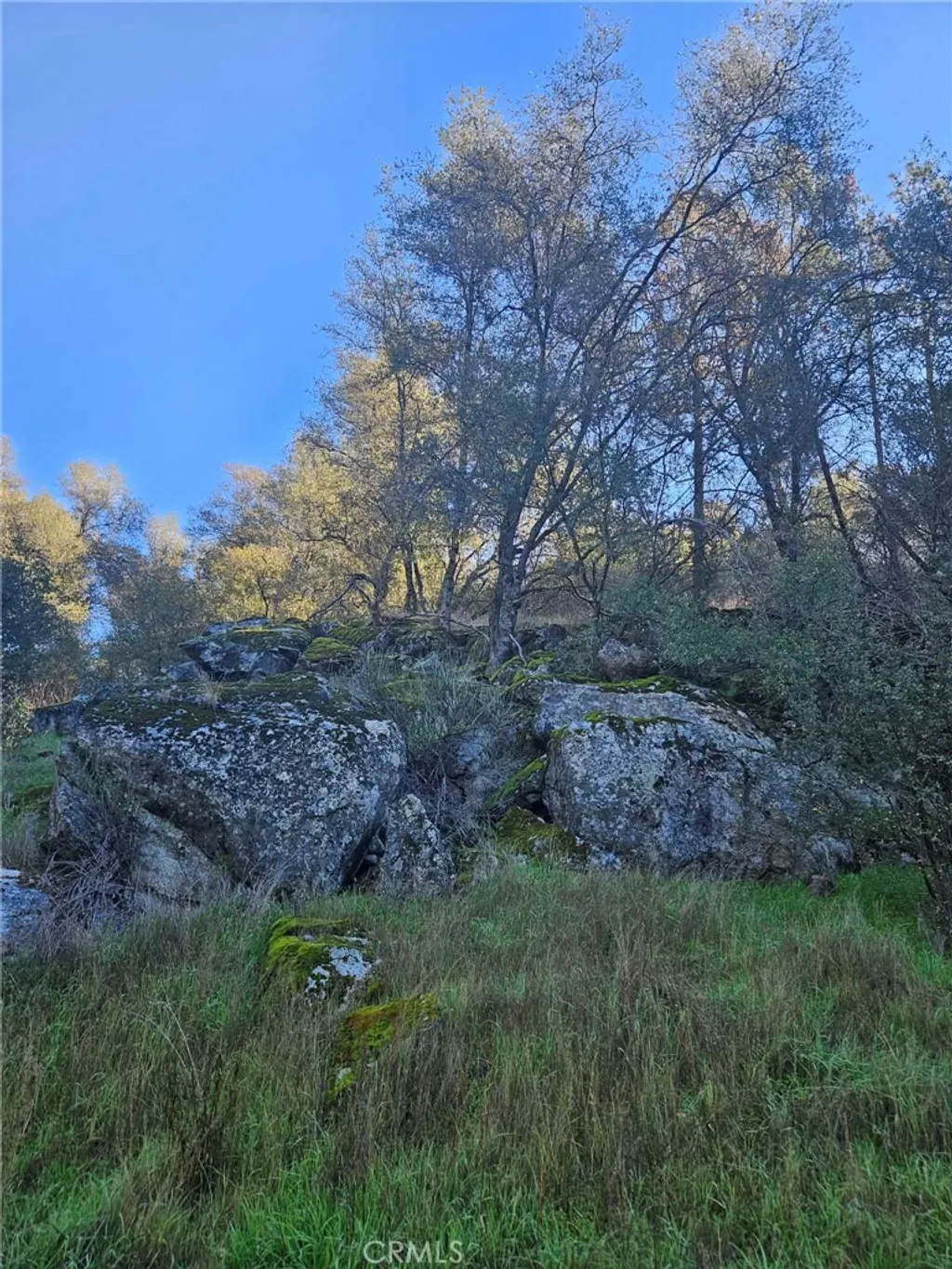 50814 Road 200, O'Neals, CA 93645