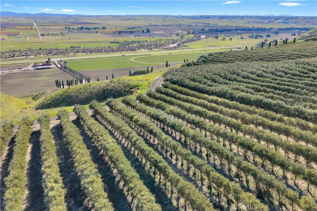 Additional image 45 of 1990 E 46, Shandon, CA 93461