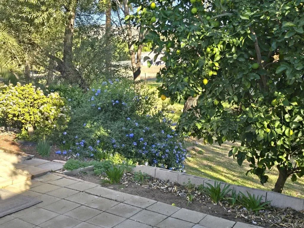 Additional image 21 of 2030 Black Canyon Road Unit 26, Ramona, CA 92065