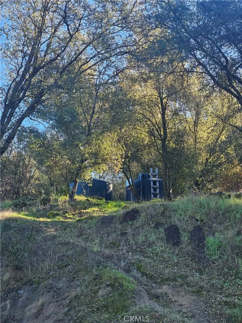 Additional image 35 of 50814 Road 200, O'Neals, CA 93645