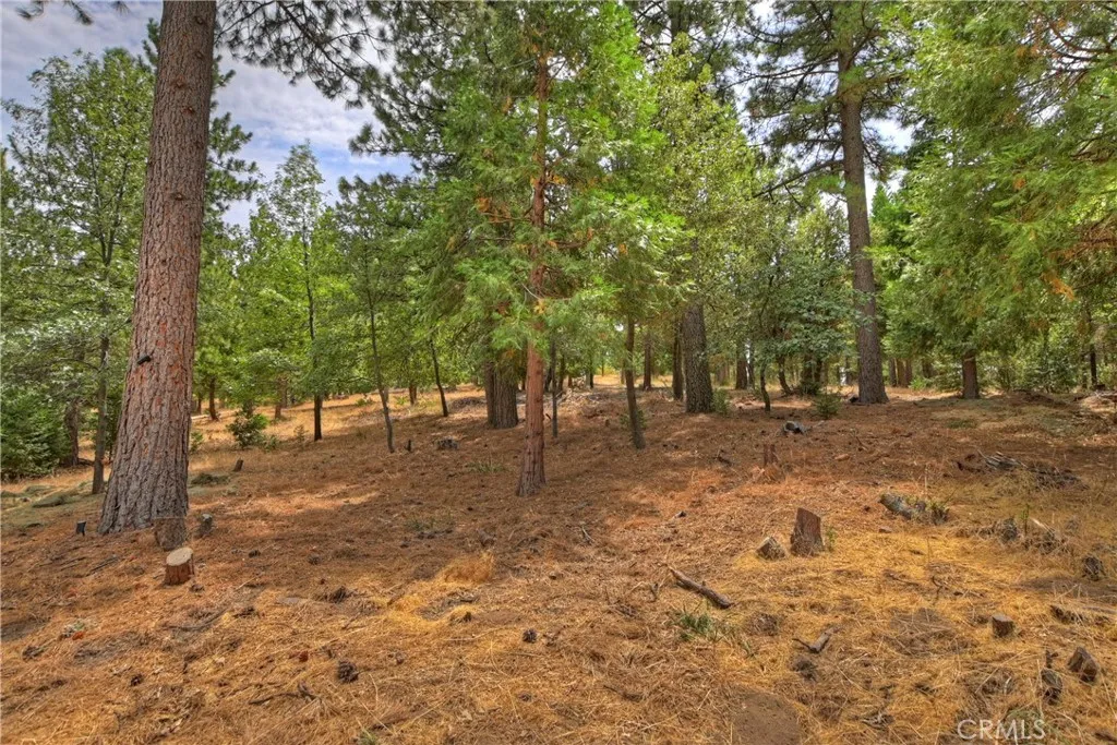 Additional image 51 of 120 Pine Ridge Road, Crestline, CA 92325