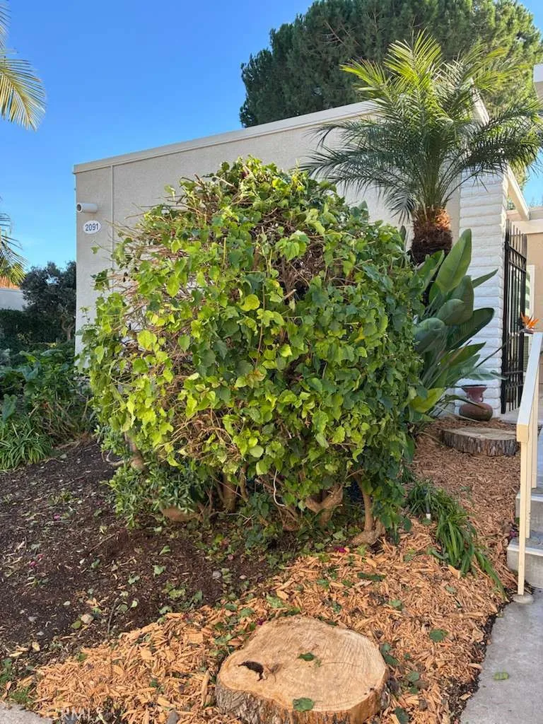 Additional image 47 of 2091 Ronda Granada Unit D, Laguna Woods, CA 92637