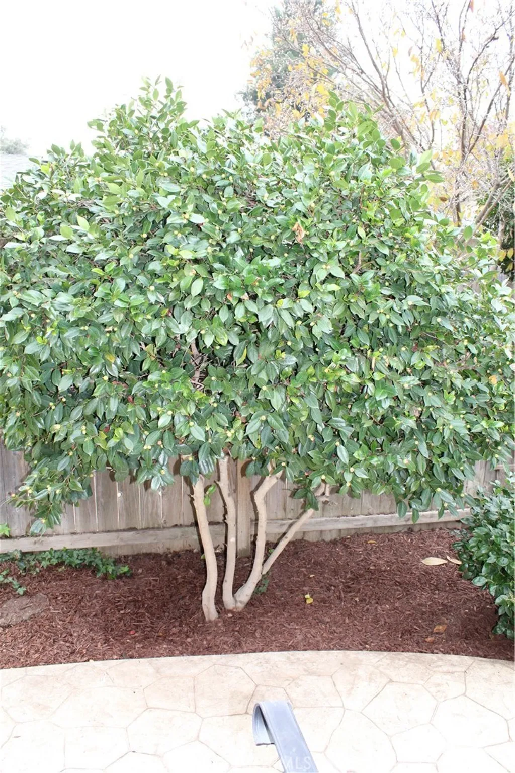 Additional image 62 of 985 Jonell Lane, Chico, CA 95926