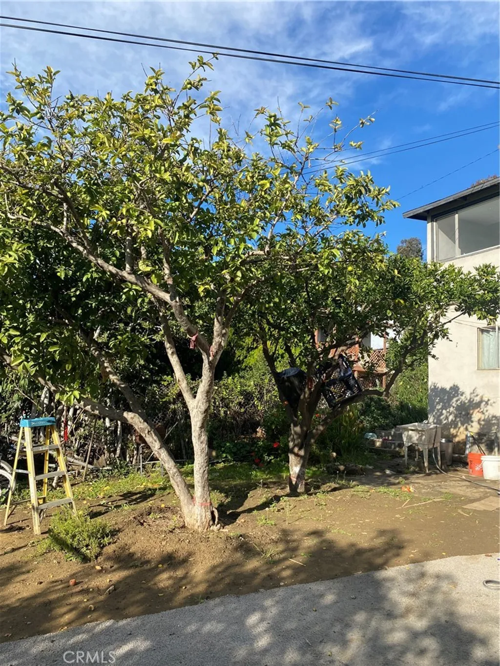 Additional image 26 of 1129 N Alma Avenue, Los Angeles, CA 90063