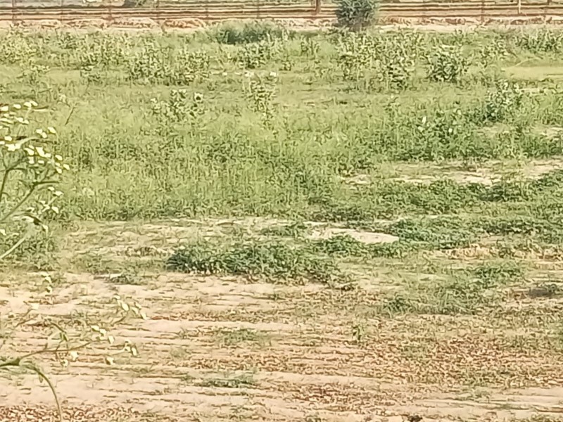 Additional image 3 of Farrukhnagar, Gurgaon