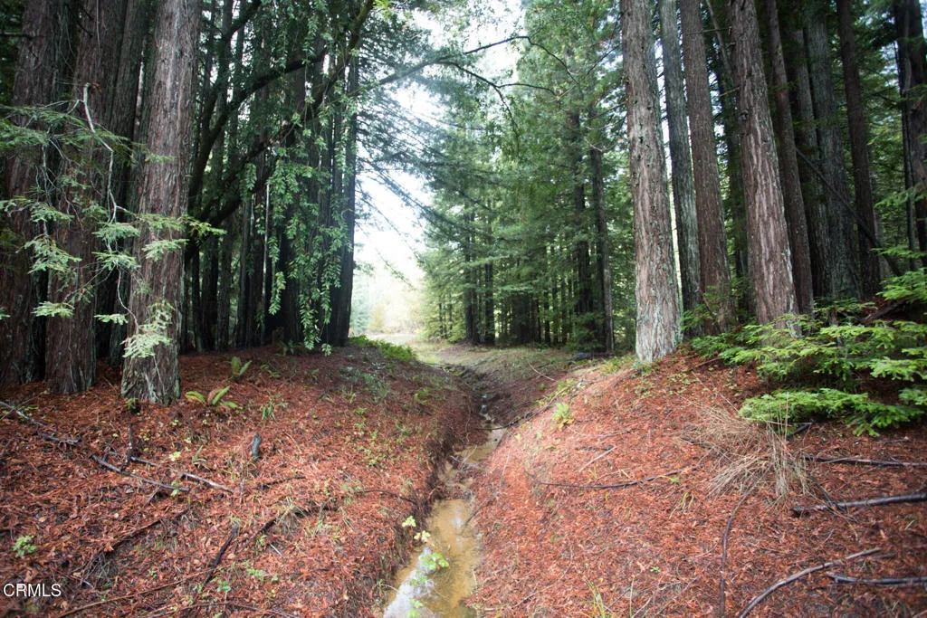 Additional image 80 of 11091 Irmulco Road, Willits, CA 95490