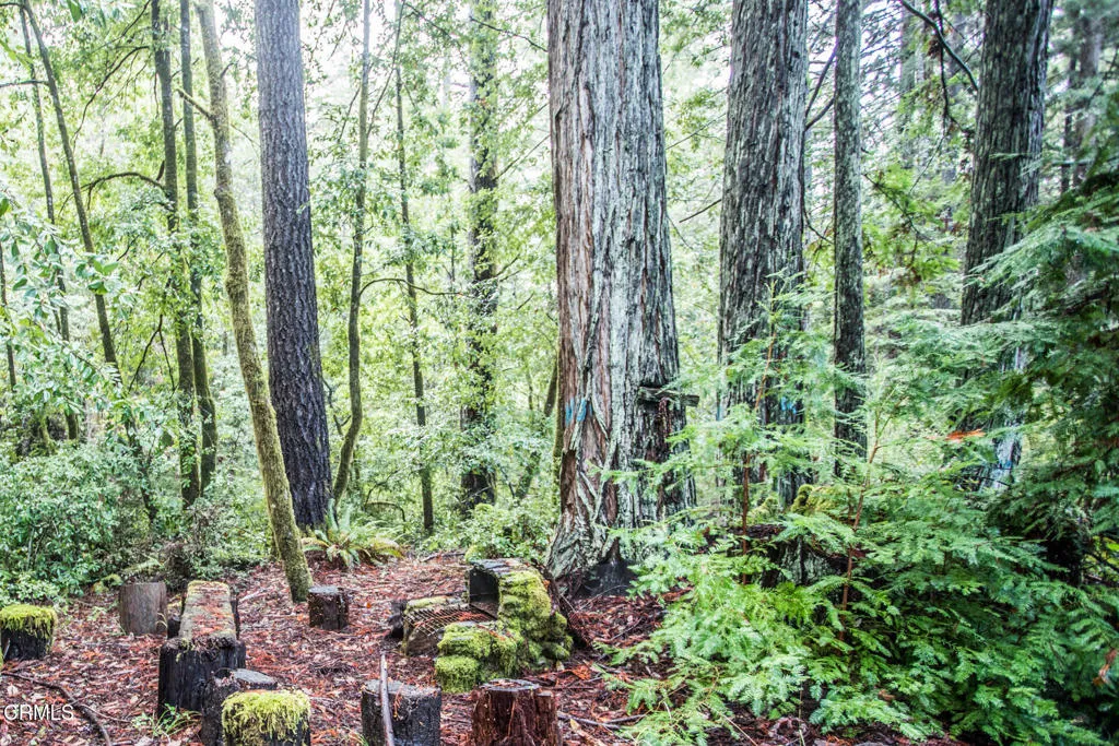 Additional image 51 of 11091 Irmulco Road, Willits, CA 95490