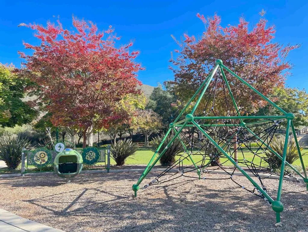 Additional image 122 of 1347 Avenida Pantera, San Marcos, CA 92069