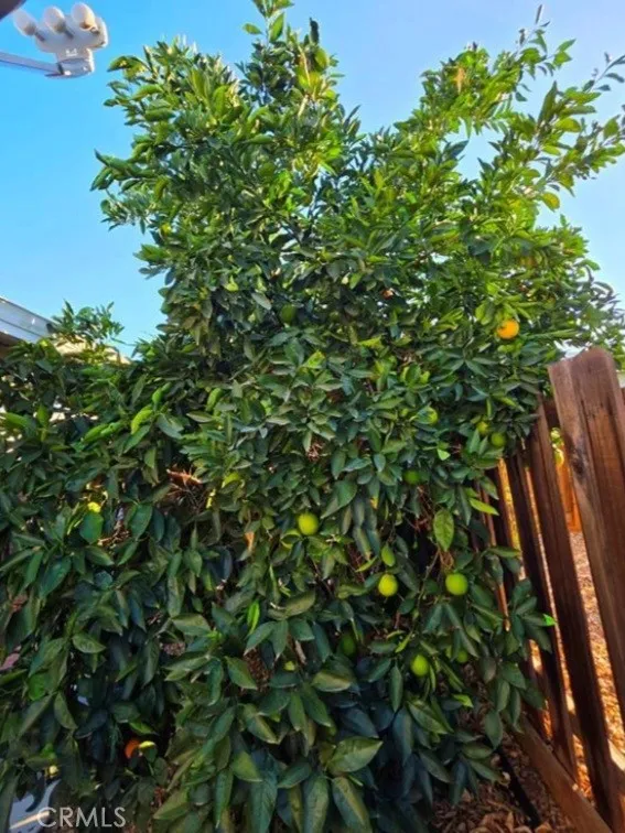 Additional image 60 of 27250 Murrieta Road Unit 390, Menifee, CA 92586