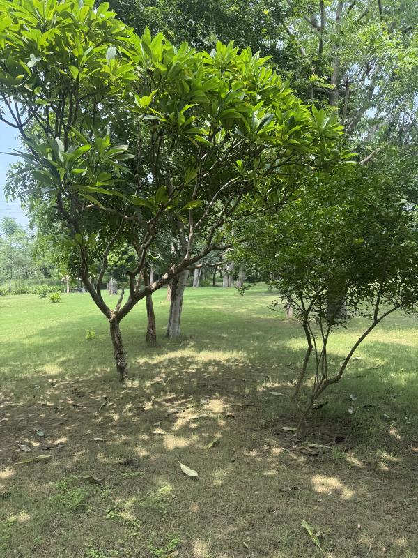 Additional image 2 of Naugaon, Alwar