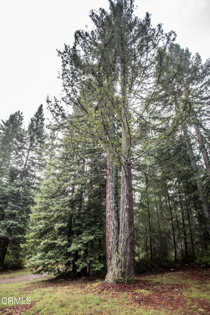 Additional image 71 of 11091 Irmulco Road, Willits, CA 95490