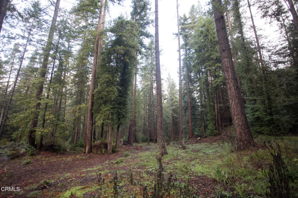 Additional image 68 of 11091 Irmulco Road, Willits, CA 95490