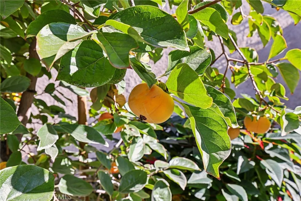 Additional image 52 of 11333 Discovery Way, Riverside, CA 92503